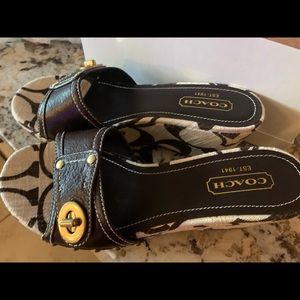 New Coach platform 36.6 with box